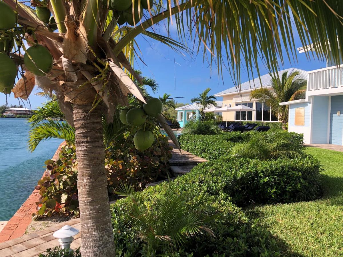 Vila Dolphin Cove (Adults Only) Freeport Exteriér fotografie